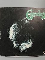 Винтажная виниловая пластинка Exodus "Supernova", 1981 год